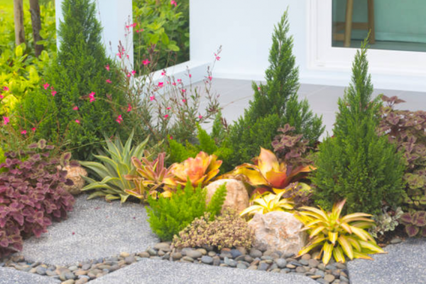 Taman kering dengan tanaman sukulen dan batu kerikil